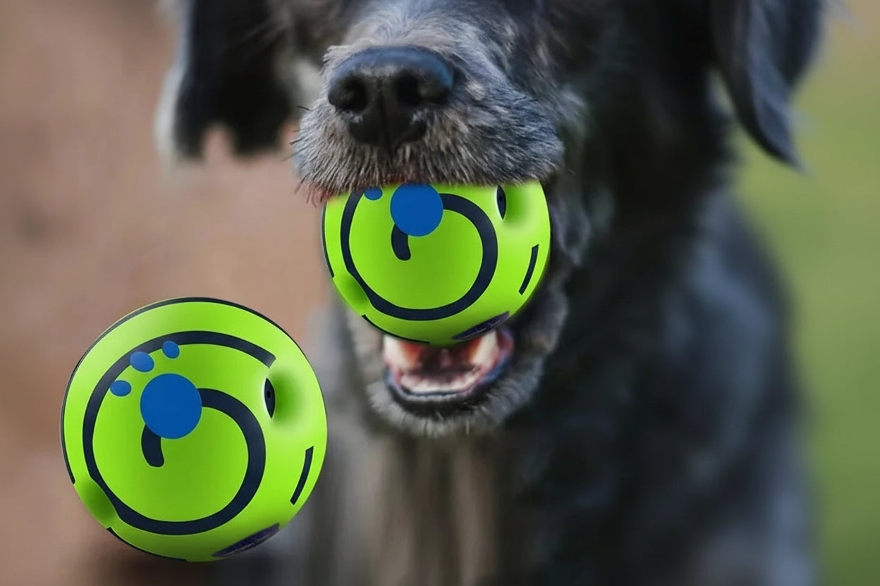 Giggling Glow Ball for Dogs