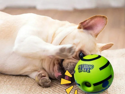 Giggling Glow Ball for Dogs