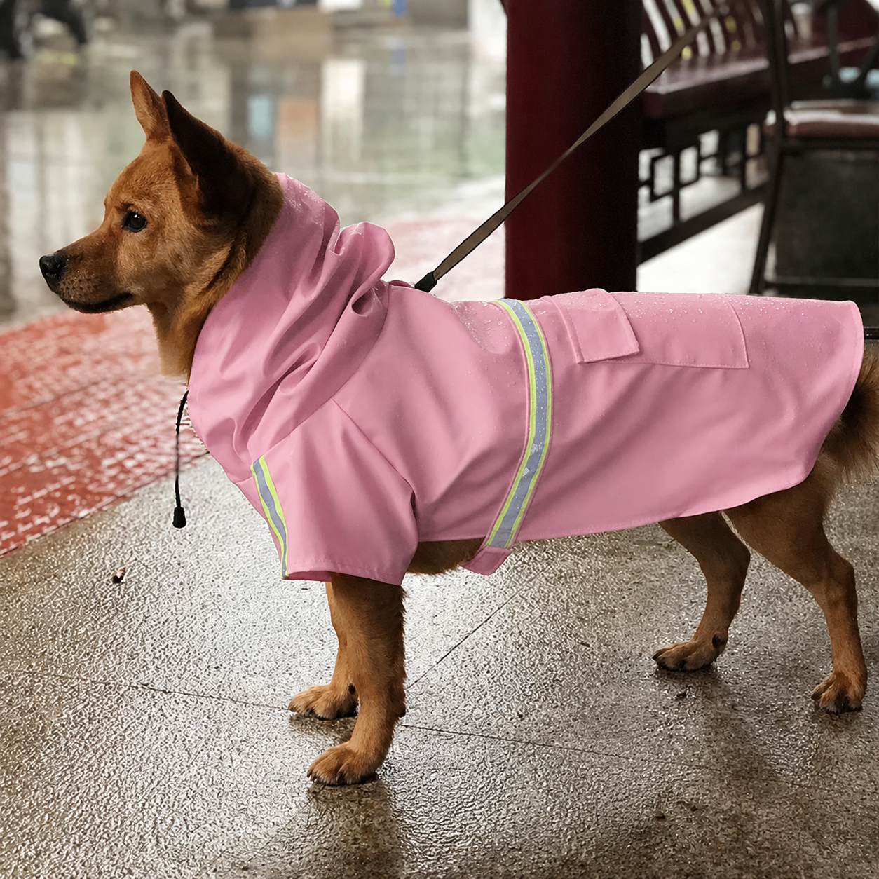 Corgi Cloak Style Dog Raincoat