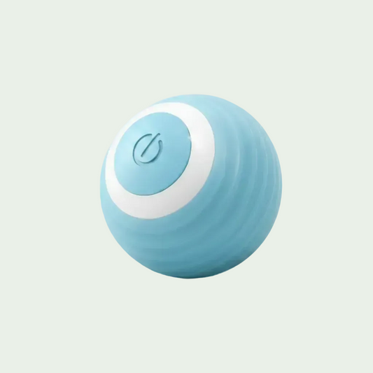 Magic Cat Ball Toy
